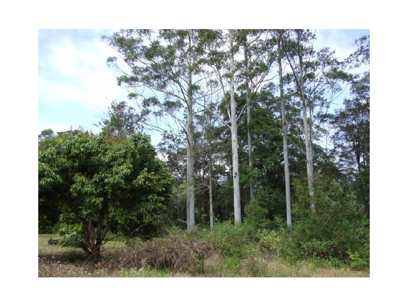 Murwillumbah NSW 2484