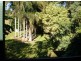 Murwillumbah NSW 2484
