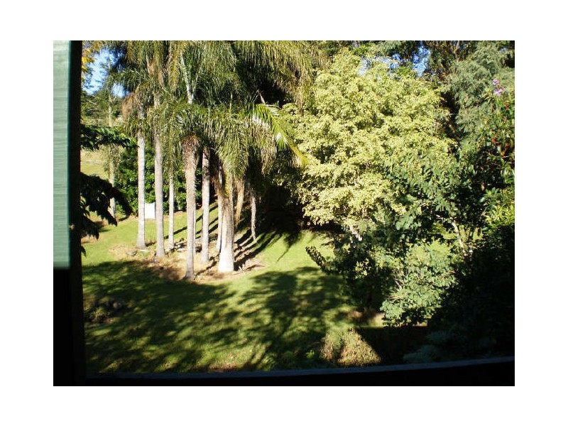 Murwillumbah NSW 2484