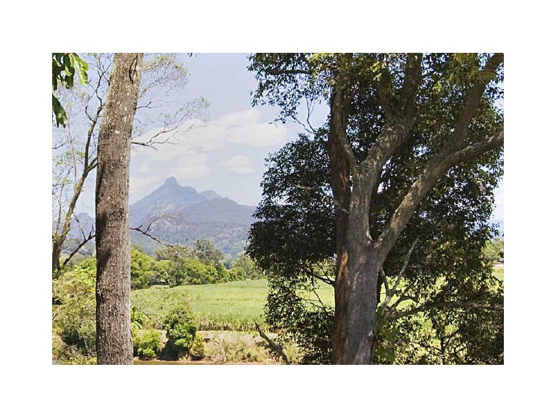 Murwillumbah NSW 2484