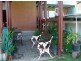 Murwillumbah NSW 2484