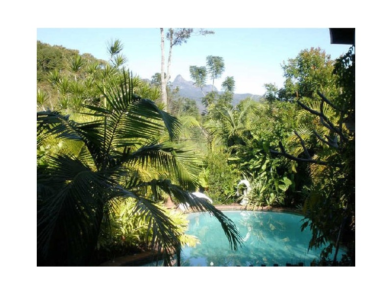 Murwillumbah NSW 2484