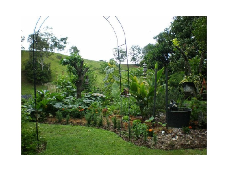 Murwillumbah NSW 2484