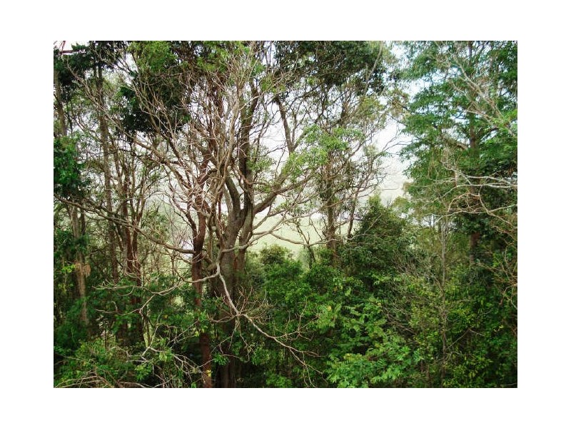 Murwillumbah NSW 2484