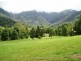Tyalgum NSW 2484