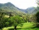 Tyalgum NSW 2484