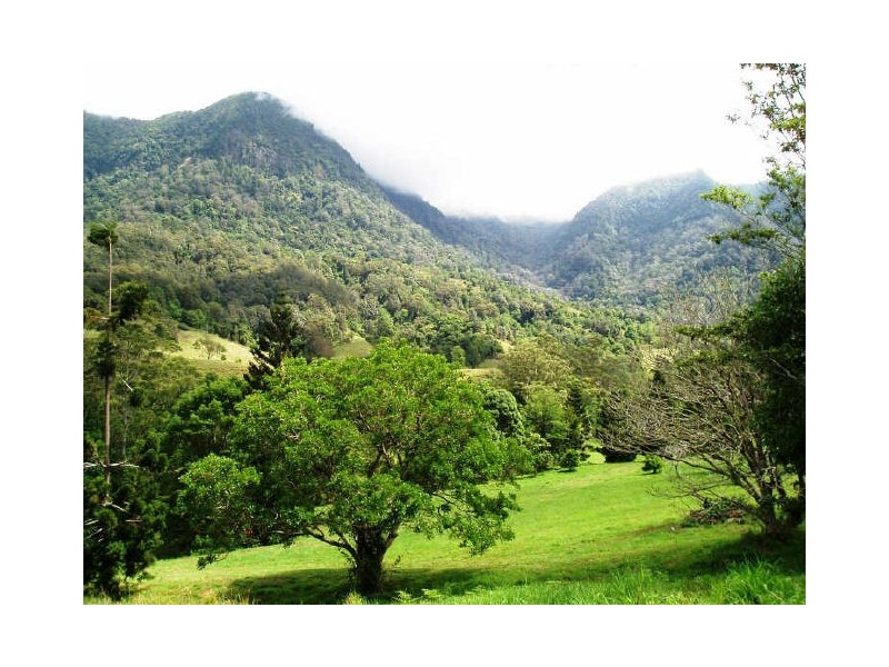 Tyalgum NSW 2484