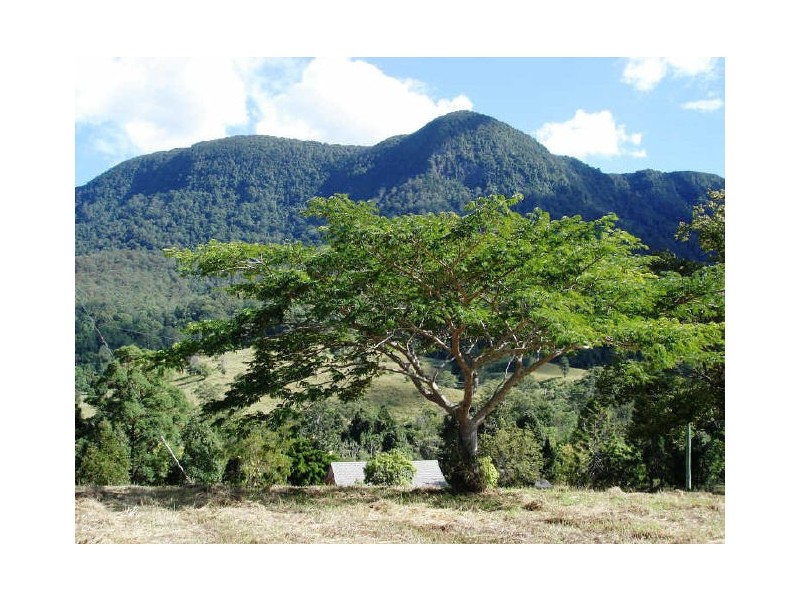Tyalgum NSW 2484