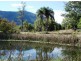 Tyalgum NSW 2484