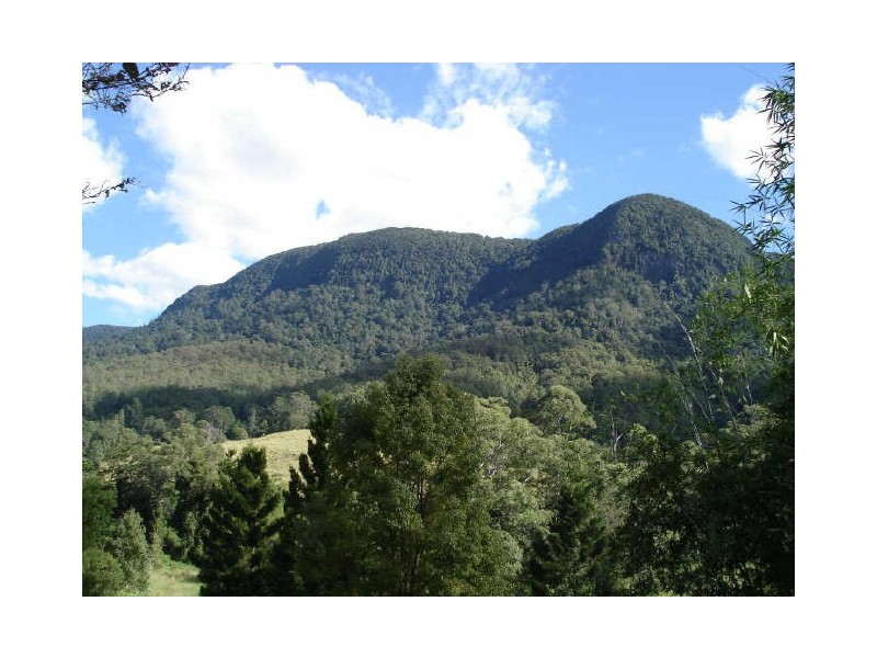 Tyalgum NSW 2484