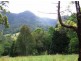 Tyalgum NSW 2484