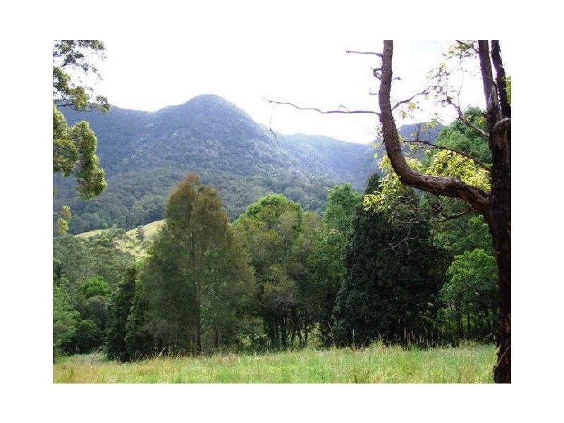 Tyalgum NSW 2484