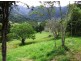 Tyalgum NSW 2484