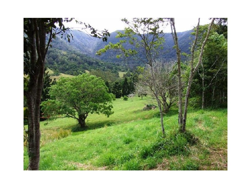 Tyalgum NSW 2484