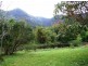 Tyalgum NSW 2484