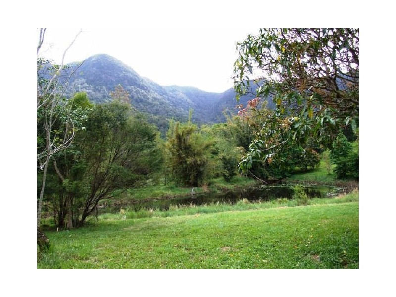 Tyalgum NSW 2484