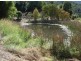 Tyalgum NSW 2484
