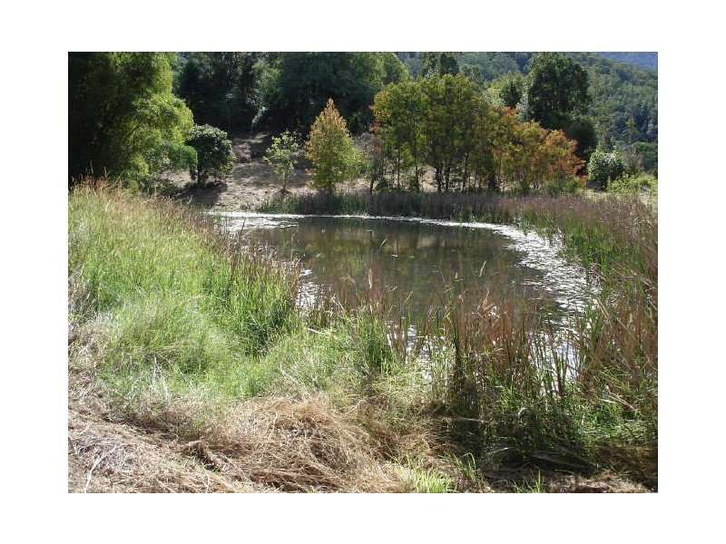 Tyalgum NSW 2484