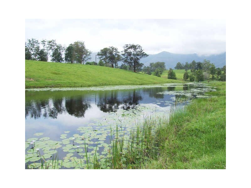 Murwillumbah NSW 2484