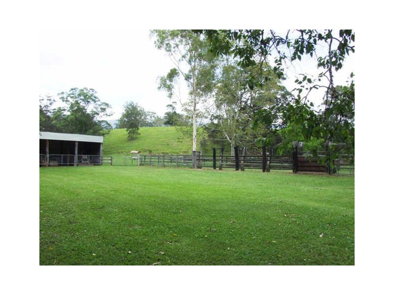 Murwillumbah NSW 2484