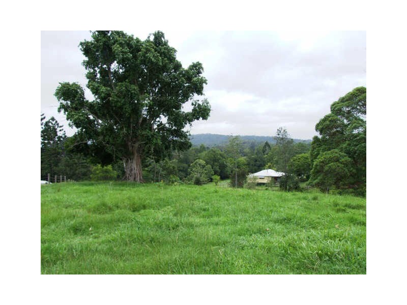 Murwillumbah NSW 2484