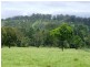 Murwillumbah NSW 2484
