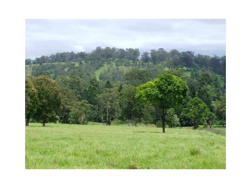 Murwillumbah NSW 2484