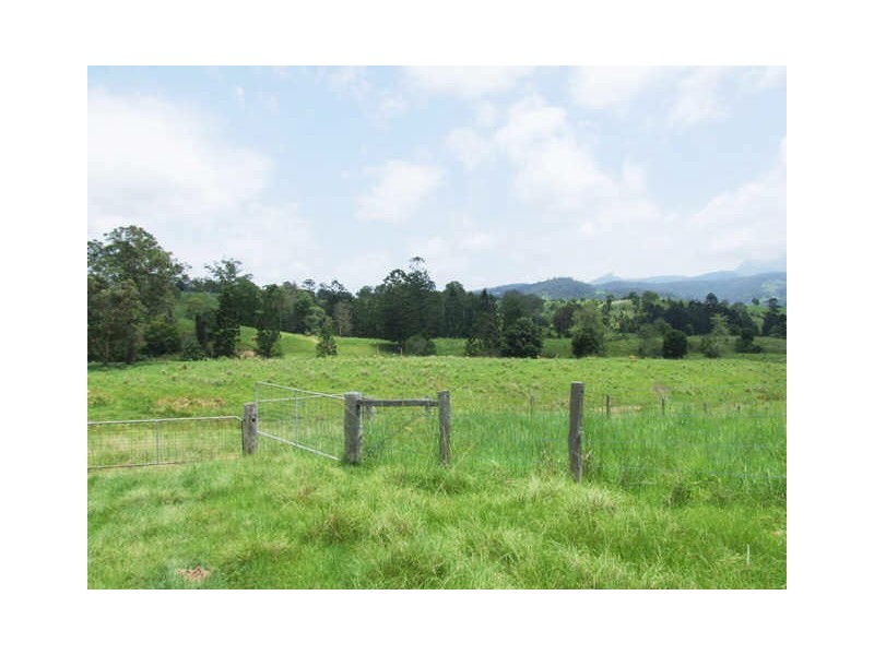 Murwillumbah NSW 2484