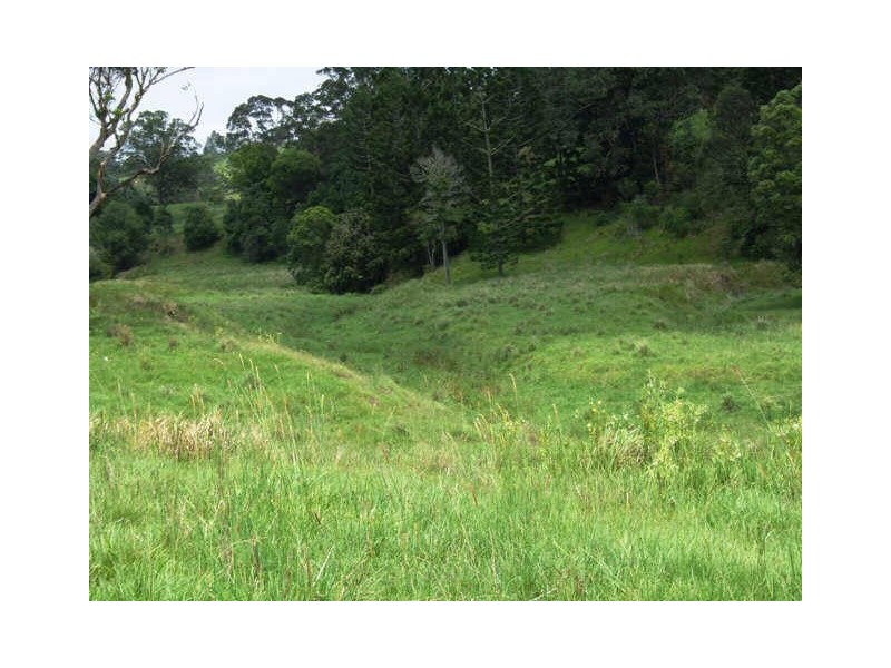 Murwillumbah NSW 2484