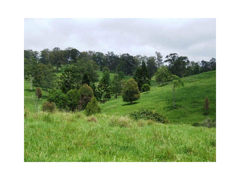 Murwillumbah NSW 2484