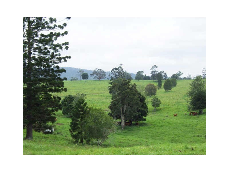 Murwillumbah NSW 2484