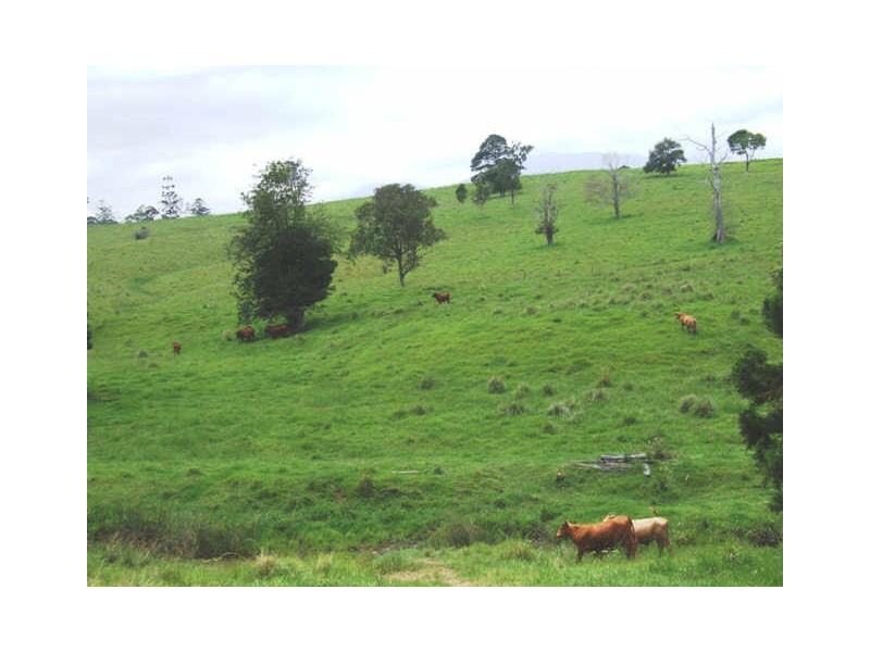 Murwillumbah NSW 2484