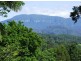 Murwillumbah NSW 2484