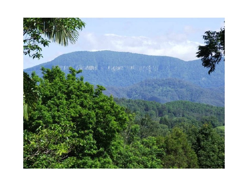 Murwillumbah NSW 2484