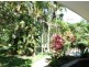 Murwillumbah NSW 2484