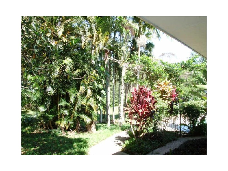 Murwillumbah NSW 2484