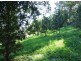Murwillumbah NSW 2484
