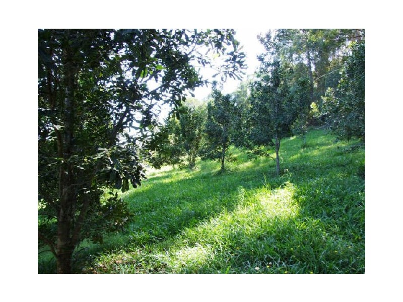 Murwillumbah NSW 2484