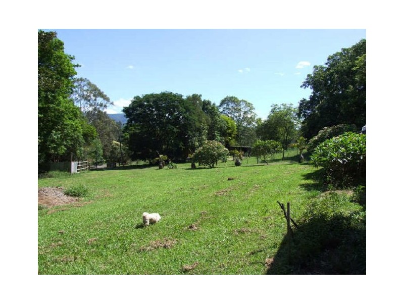 Murwillumbah NSW 2484