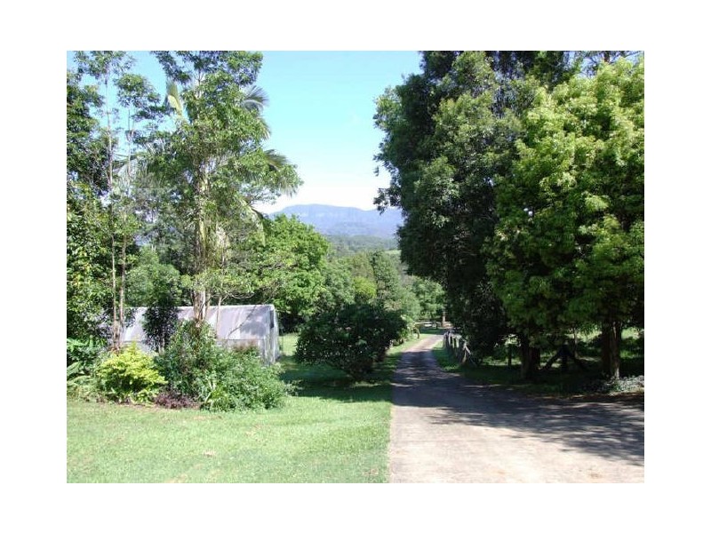 Murwillumbah NSW 2484
