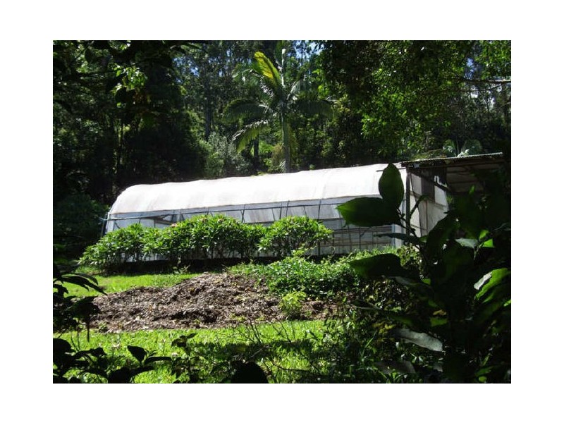 Murwillumbah NSW 2484