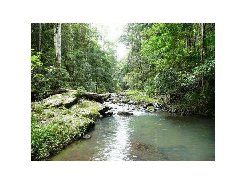 565 Commissioners Creek Road, Commissioners Creek NSW 2484