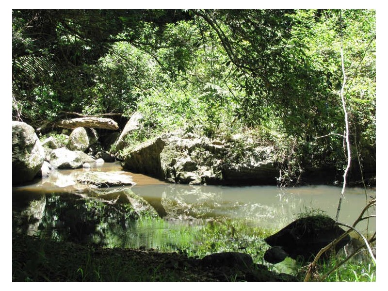 565 Commissioners Creek Road, Commissioners Creek NSW 2484