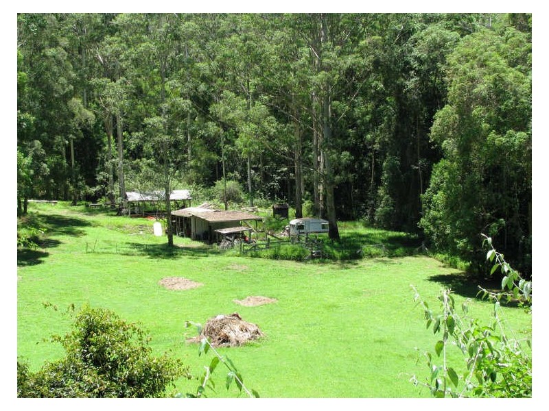 565 Commissioners Creek Road, Commissioners Creek NSW 2484