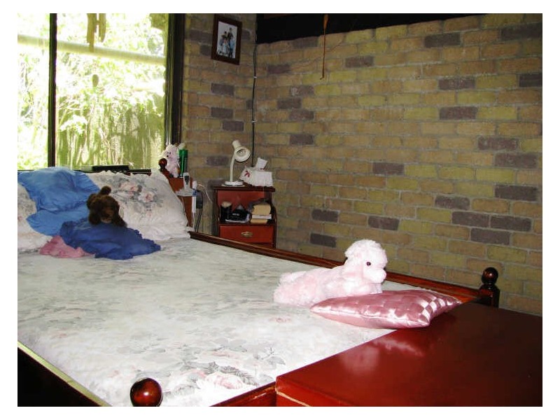 565 Commissioners Creek Road, Commissioners Creek NSW 2484