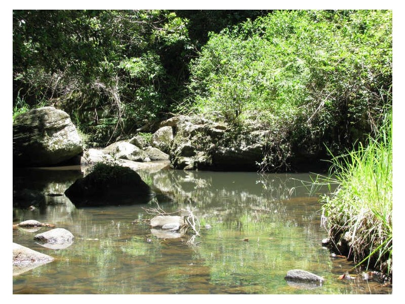 565 Commissioners Creek Road, Commissioners Creek NSW 2484