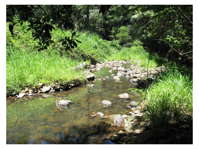 565 Commissioners Creek Road, Commissioners Creek NSW 2484