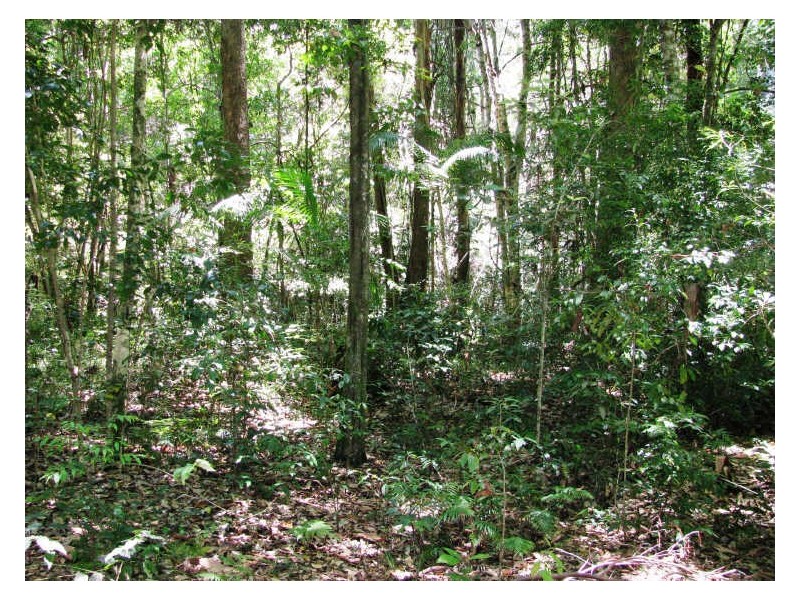 565 Commissioners Creek Road, Commissioners Creek NSW 2484