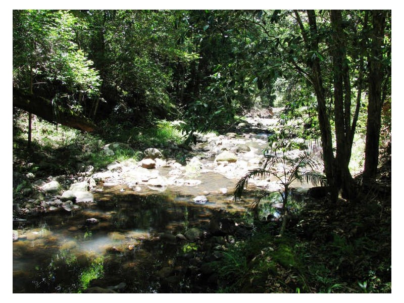 565 Commissioners Creek Road, Commissioners Creek NSW 2484