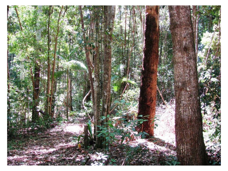 565 Commissioners Creek Road, Commissioners Creek NSW 2484